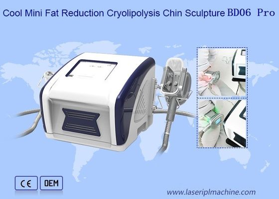 Good price 12V Cool Mini Fat Reduction Cryolipolysis Slimming Machine online