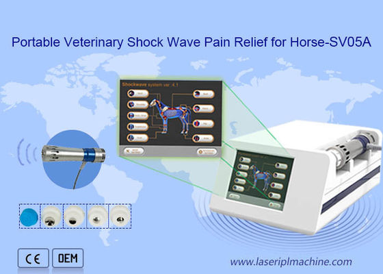 Good price Veterinary Treat Equine Shock Wave Diathermy Machine online