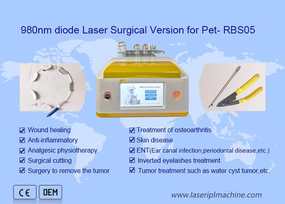 Good price 980 Nm Portable Diode Laser Hair Removal Surgical Version For Pet Beauty online