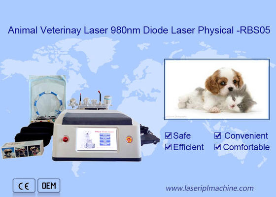 Good price Animal Use Portable 980nm Diode Laser Machine White Multifunctional Function online