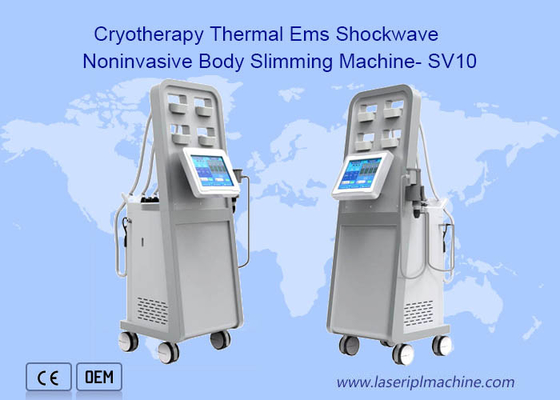 Cryolipolysis Physical Therapy Shock Wave Machine Fat Reduce Extracorporeal