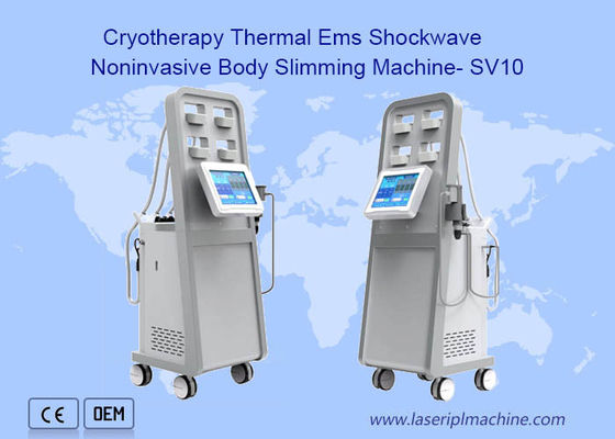 Good price Cryolipolysis Physical Therapy Shock Wave Machine Fat Reduce Extracorporeal online
